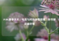 PUBG赛事夹克，电竞与时尚激情碰撞，探寻哪款最好看