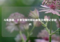 斗鱼直播，王者荣耀的精彩盛宴及观看记录疑问