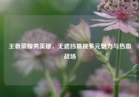 王者荣耀男英雄，无遮挡展现多元魅力与热血战场