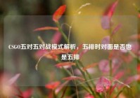 CSGO五对五对战模式解析，五排时对面是否也是五排