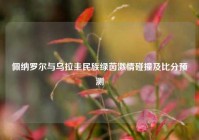 佩纳罗尔与乌拉圭民族绿茵激情碰撞及比分预测