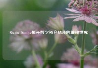 Steam Dumps:揭开数字资产转移的神秘世界