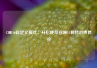 COD16自定义模式，开启使命召唤16独特游戏体验