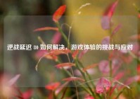 逆战延迟 80 如何解决，游戏体验的挑战与应对