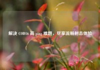 解决 COD16 高 ping 难题，尽享流畅射击体验