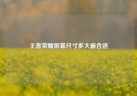 王者荣耀屏幕尺寸多大最合适