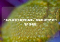 PUBG小黑盒手套价值解析，虚拟世界独特魅力与价值衡量