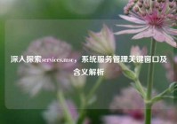深入探索services.msc，系统服务管理关键窗口及含义解析