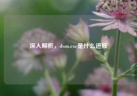 深入解析，dwm.exe是什么进程