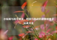 小短裤与和平精英，时尚与枪战的激情碰撞之短裤大全