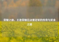 荣耀之巅，王者荣耀总决赛冠军的传奇与奖金之路