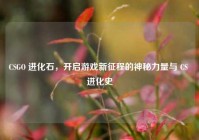 CSGO 进化石，开启游戏新征程的神秘力量与 CS 进化史