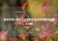 使命召唤16鼠标无法转向及无法移动视角问题全攻略