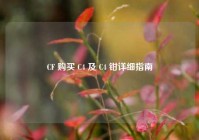 CF 购买 C4 及 C4 钳详细指南