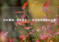 PUBG赛场，知名选手——永不言弃的励志之光