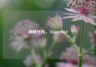 神秘代码，705032396CF