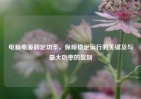 电脑电源额定功率，保障稳定运行的关键及与最大功率的区别