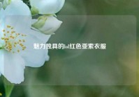 魅力独具的lol红色亚索衣服