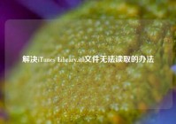 解决iTunes Library.itl文件无法读取的办法