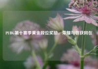 PUBG第十赛季黄金段位奖励，荣耀与收获同在