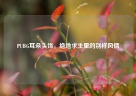 PUBG耳朵头饰，绝地求生里的别样风情