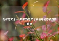 剖析无实名pubg现象及无实名微信号能否被网警追查