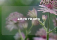 英雄联盟之楚歌传奇