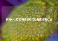 探秘CSGO暗色调场景及暗处亮度调高方法