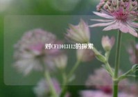 对CF11013112的探索