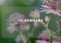 PUBG 知名解说大盘点