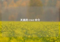 天真的 CSGO 中介