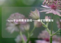 Steam平台的赛车游戏——柚子世界赛车