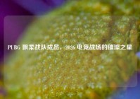 PUBG 飘柔战队成员，2026 电竞战场的璀璨之星