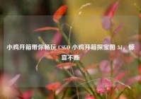 小鸡开箱带你畅玩 CSGO 小鸡开箱探宝图 3d，惊喜不断