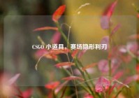 CSGO 小道具，赛场隐形利刃