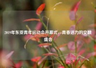 2019年东亚青年运动会开幕式，青春活力的交融盛会