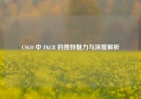 CSGO 中 FKCR 的独特魅力与深度解析
