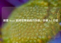 探索 Steam 游戏世界的得力伙伴，手柄 ds5 介绍