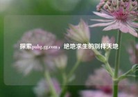 探索pubg.gg.com，绝地求生的别样天地