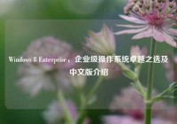 Windows 8 Enterprise，企业级操作系统卓越之选及中文版介绍