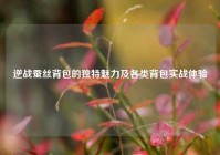 逆战蚕丝背包的独特魅力及各类背包实战体验