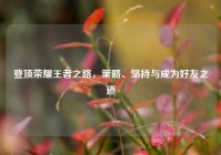 登顶荣耀王者之路，策略、坚持与成为好友之道