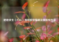 绝地求生（PUBG）独特脸型编辑及换脸型方法