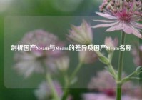 剖析国产Steam与Steam的差异及国产Steam名称