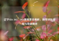 辽宁CBA 2025 - 2026赛程表全解析，探寻球队征程与球迷期待