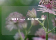 解决无 Internet 访问权限的困扰