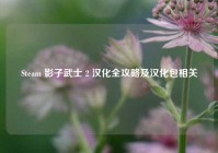 Steam 影子武士 2 汉化全攻略及汉化包相关