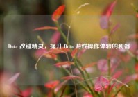 Dota 改键精灵，提升 Dota 游戏操作体验的利器