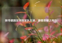 探寻德国足球国家队主场，激情荣耀之所在