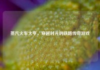 蒸汽火车大亨，穿越时光的铁路传奇游戏